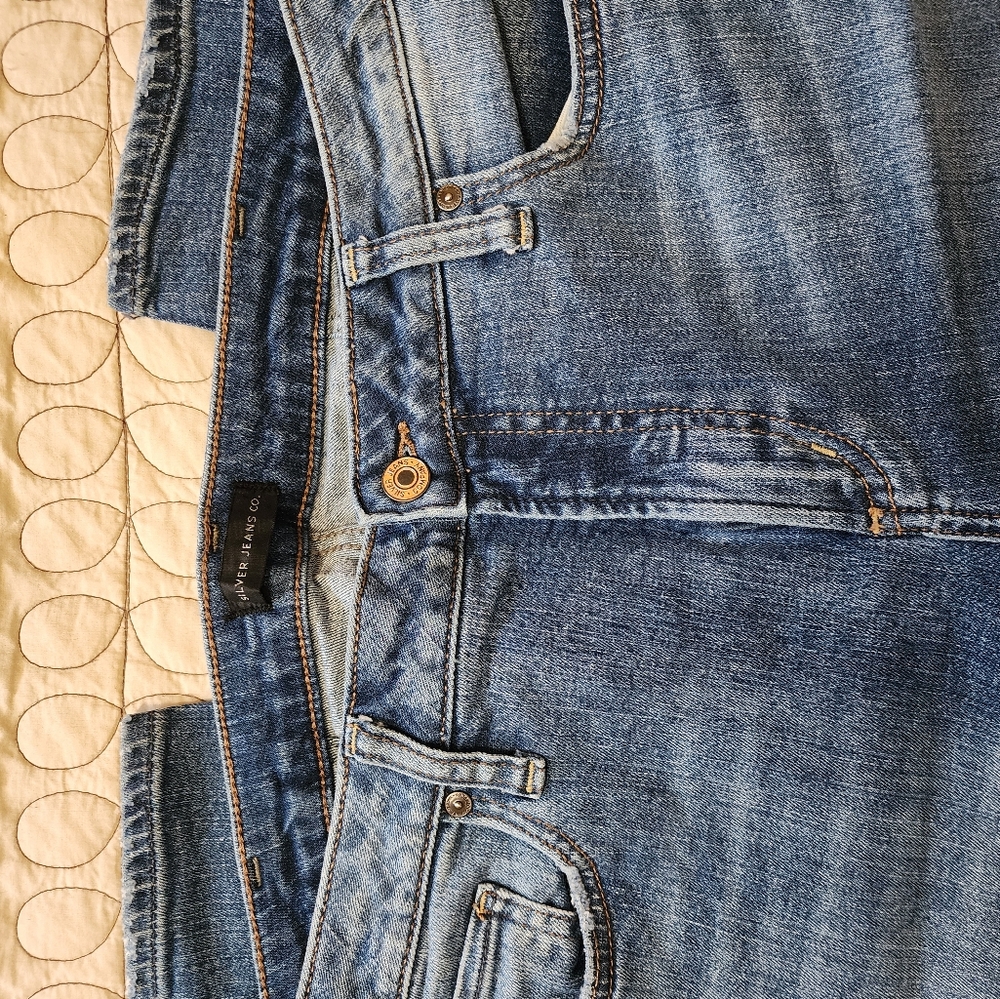 Silver Jeans Co - image 3